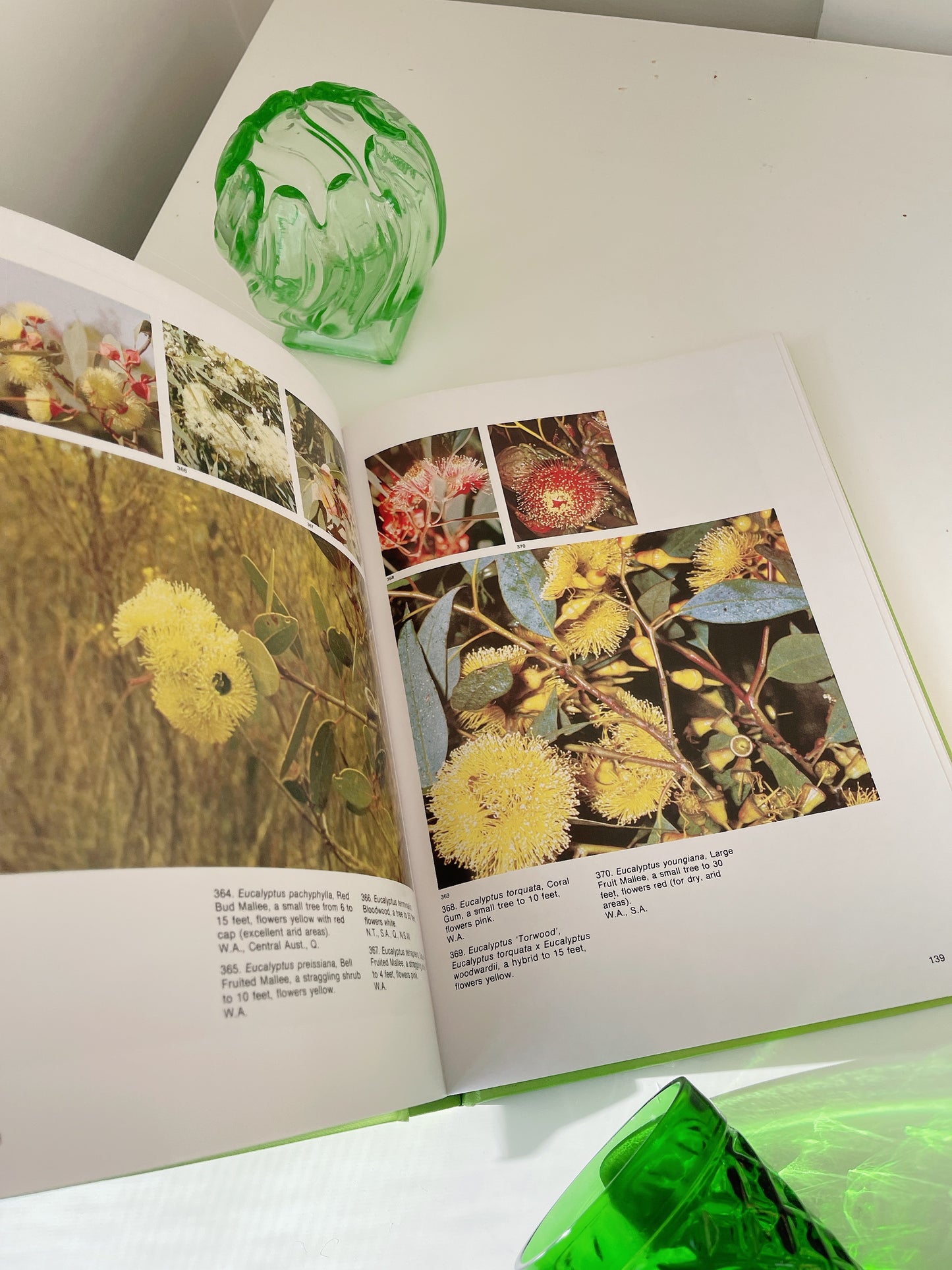 What Wildflower Is That? - 1985