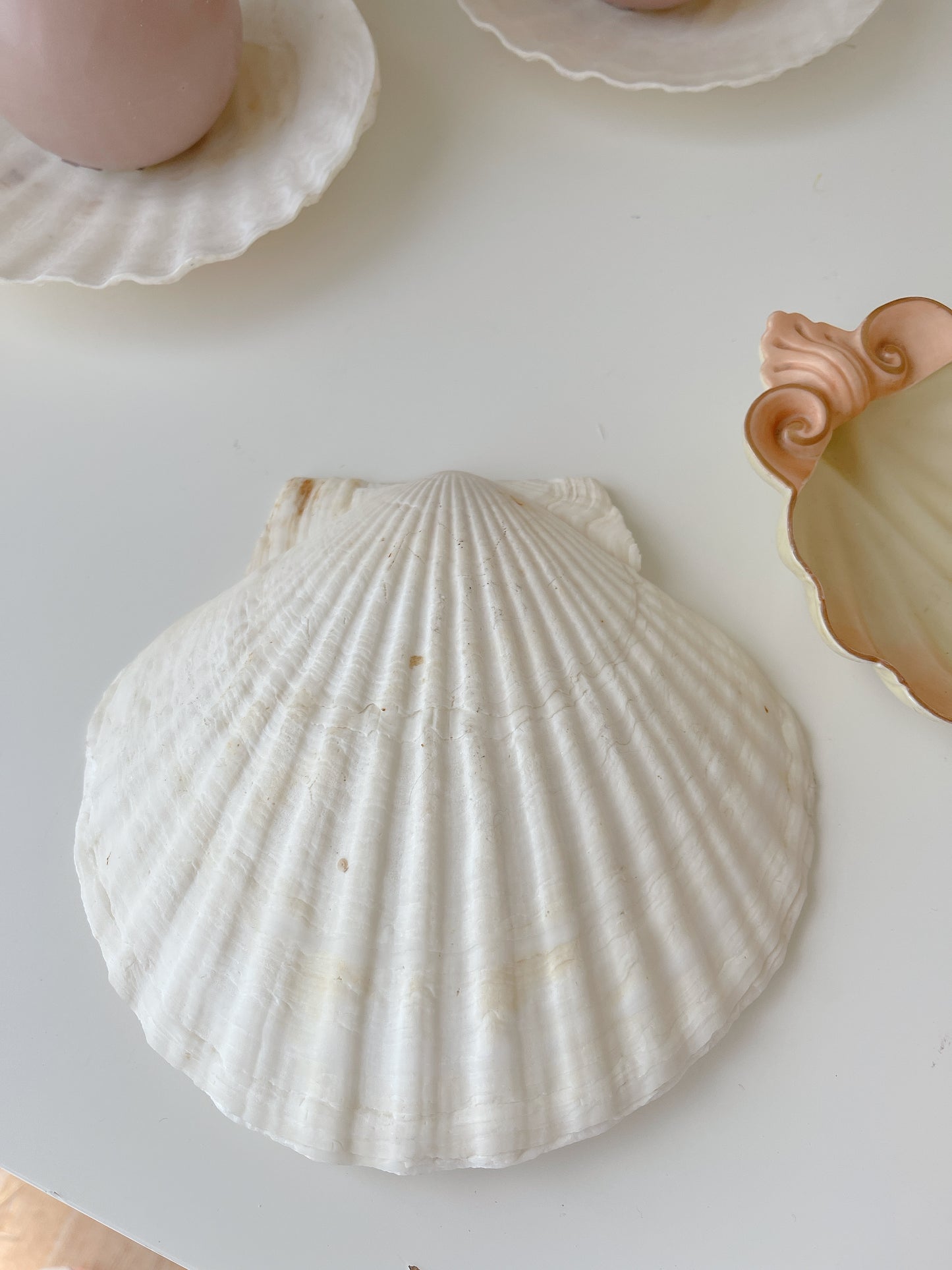 Candle &Shell Set