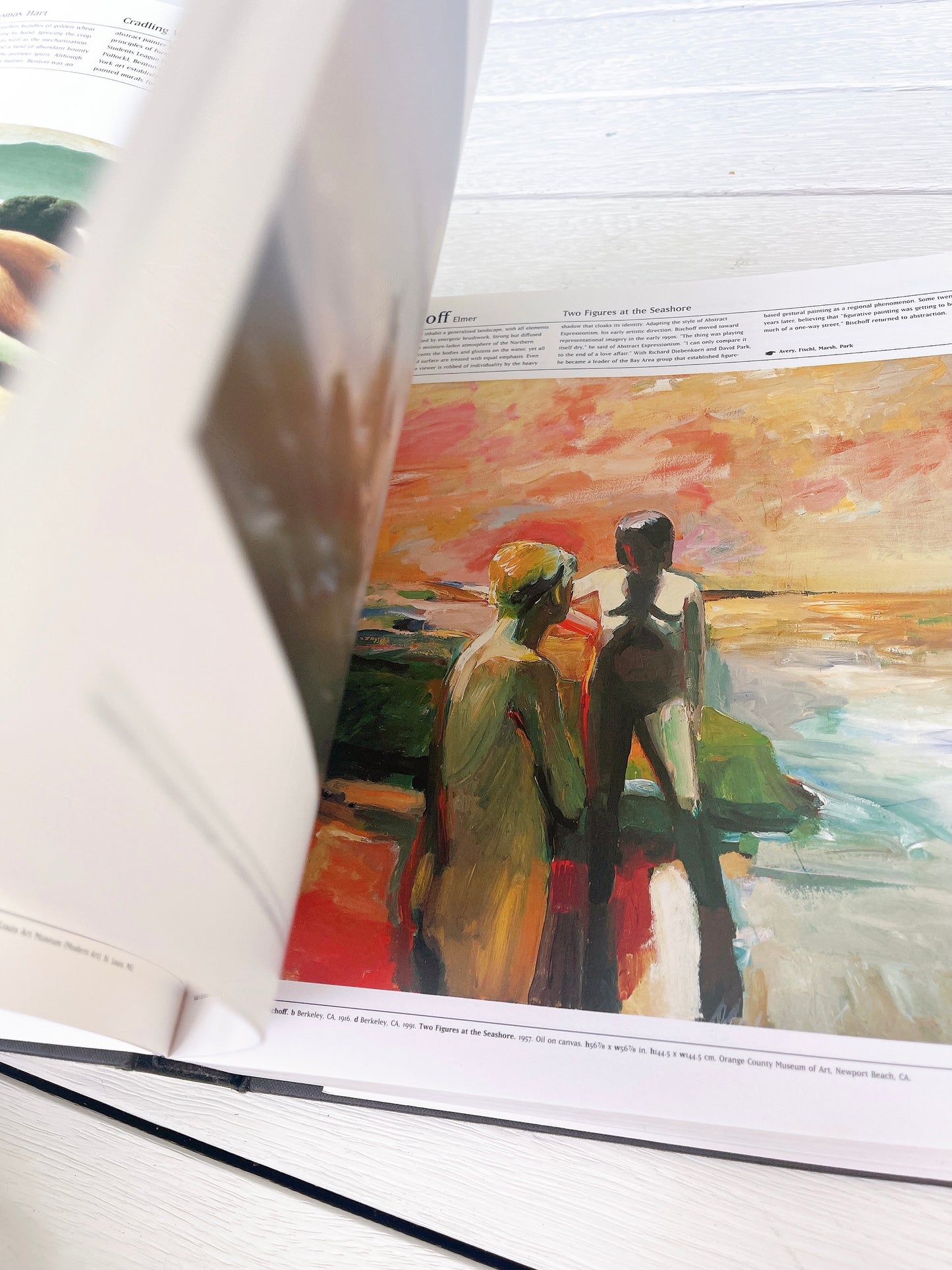 The American Art Book