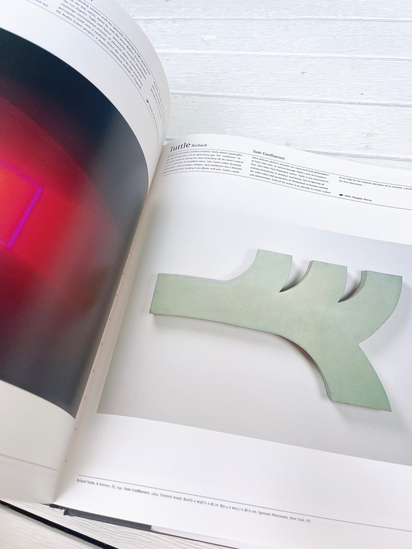 The American Art Book